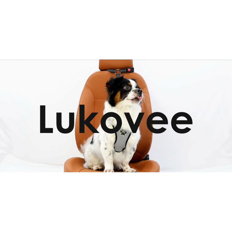 Lukovee 개 자동차 안전 벨트, 2 팩 머리 받침 구속 안전 벨트, 개 하네스 칼라 여행 일일 사용을 위한 반사 탄성 번지가 있는 조절 가능한 애완 동물 안전 리드 (형광 핑크, 머리 받침 + 클립)