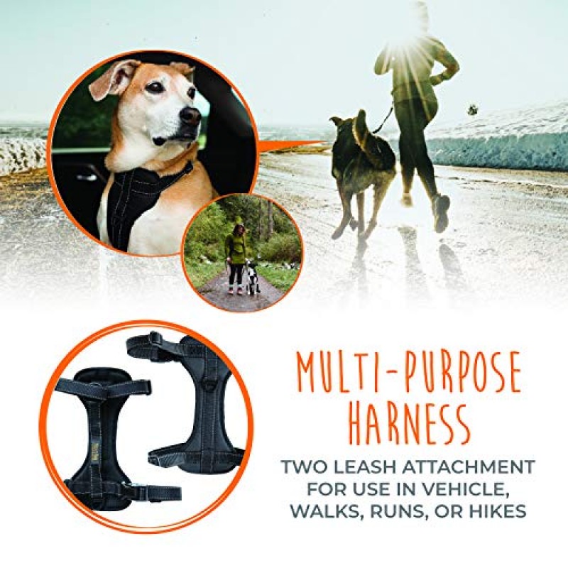 Mighty Paw Car Dog Harness, 조절 가능한 스트랩과 부드러운 패딩이 있는 차량 안전 하네스, 당기지 않는 전면 끈 부착 장치가 있는 표준 하네스로도 사용 가능