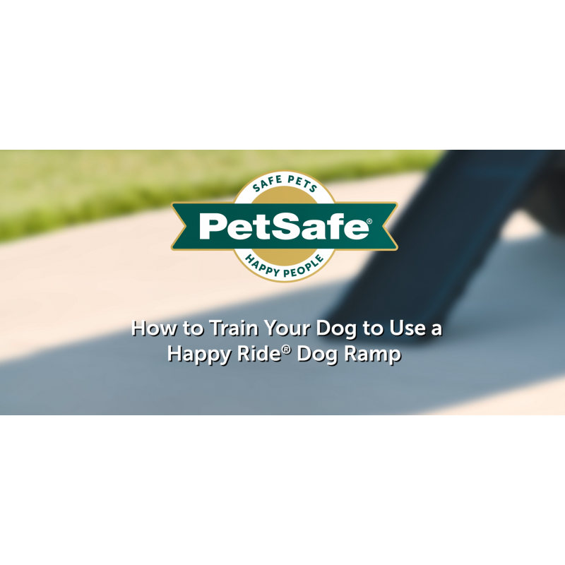 자동차, 트럭 및 SUV용 PetSafe Happy Ride 접이식 애완 동물 램프 - 측면 레일이 있는 대형견용 62인치 휴대용, 미끄럼 방지 - 무게는 10lb에 불과하고 최대 150lb까지 지원, 간편한 보관, 반으로 접힘