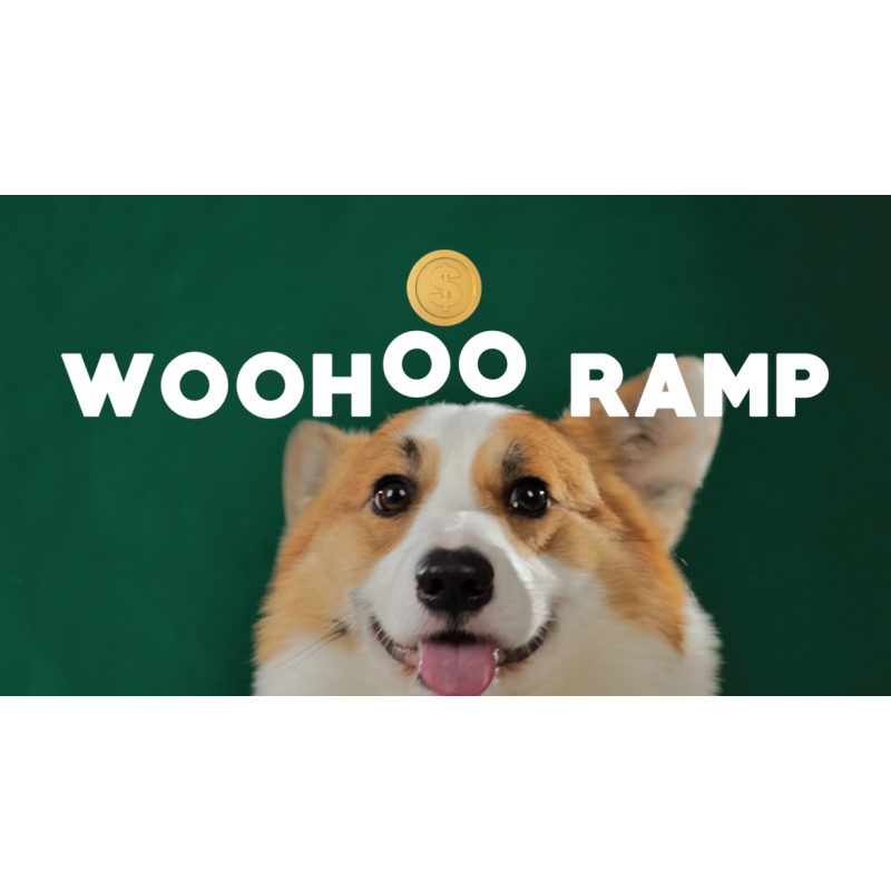 Woohoo Dog Ramp - 혁신적인 미끄럼 방지 고무 매트 포함 - 소파 및 침대용 - 길이 41인치, 14인치에서 25인치까지 조절 가능 - 모든 연령대의 애완동물에게 적합