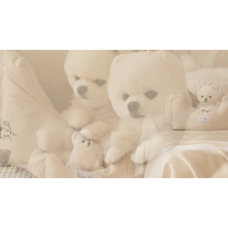 Roomnhome 개 카시트, 19.6