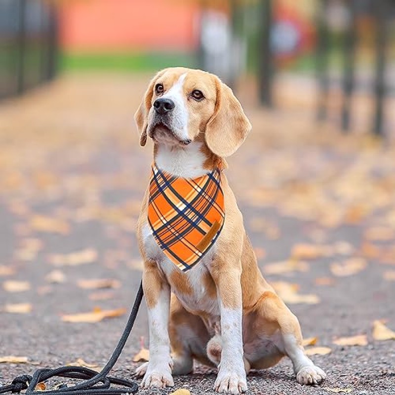 Realeaf Fall Dog Bandanas 2 팩, 할로윈 추수감사절 애완동물 스카프, 남자아이와 여자아이를 위한 양면 오렌지 개 두건, 프리미엄 내구성 직물, 대형견 및 초대형견용 휴일 두건(X-Large)