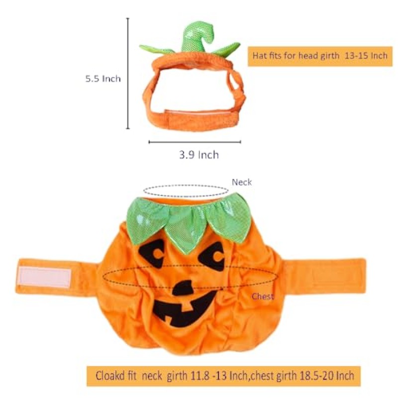 ANIAC 애완 동물 호박 의상 고양이 할로윈 모자 망토 세트 강아지 판초 개 할로윈 코스프레 키티 소형 중형 개