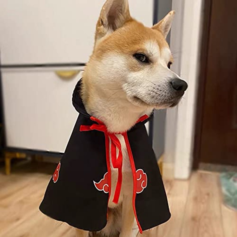 고양이 망토 의상, 할로윈 애완 동물 옷, 작은 개를위한 애완 동물 망토 코스프레 파티 고양이 의류 (중간, 검은 색)