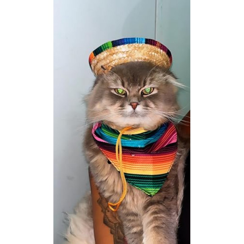 GallaRato 8 PCS 멕시코 개 의상 여러 가지 빛깔의 Cinco De Mayo 고양이 두건 큰 크기 멕시코 개 삼각형 턱받이 멕시코 개 솜브레로 모자 개를위한 애완 동물 콧수염 장식 (대형)