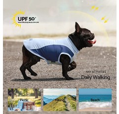 Fitwarm 2 팩 UPF 50+ 자외선 차단 강아지 셔츠, 소형견을 위한 속건성 여름 강아지 옷 남아 여아, 경량 통기성 냉각 조끼, 반사 라벨 애완동물 고양이 복장, 오렌지, 블루, 대형