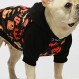 Fitwarm 할로윈 개 의상 강아지 후드 Pumkin Doggie 겨울 의류 운동복 애완 동물 후드 코트 고양이 자켓 작은 검정