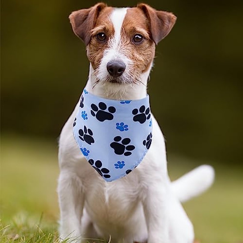 Pai Sence 30Pcs 발 인쇄 개 Bandanas 작은 중형 애완 동물을위한 대량 조정 가능한 고양이 스카프 매일 생일 파티 결혼식 휴일 뼈 Yorkie 삼각형 Bibs 스카프 소녀 소년 손질 액세서리