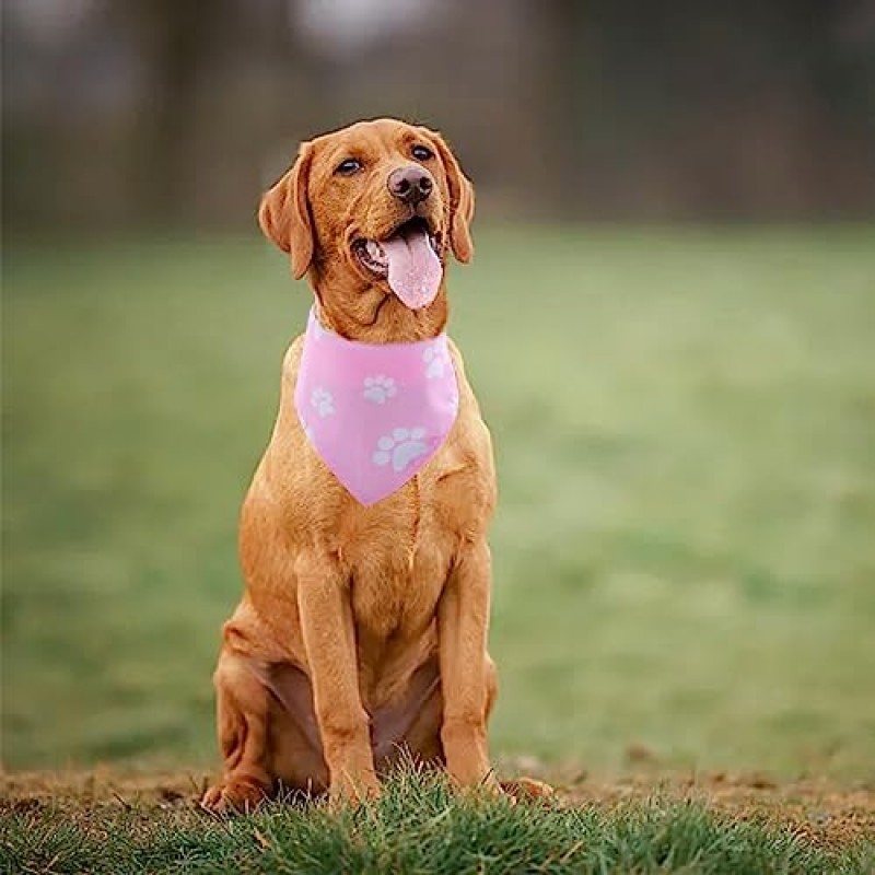 Pai Sence 30Pcs 발 인쇄 개 Bandanas 작은 중형 애완 동물을위한 대량 조정 가능한 고양이 스카프 매일 생일 파티 결혼식 휴일 뼈 Yorkie 삼각형 Bibs 스카프 소녀 소년 손질 액세서리