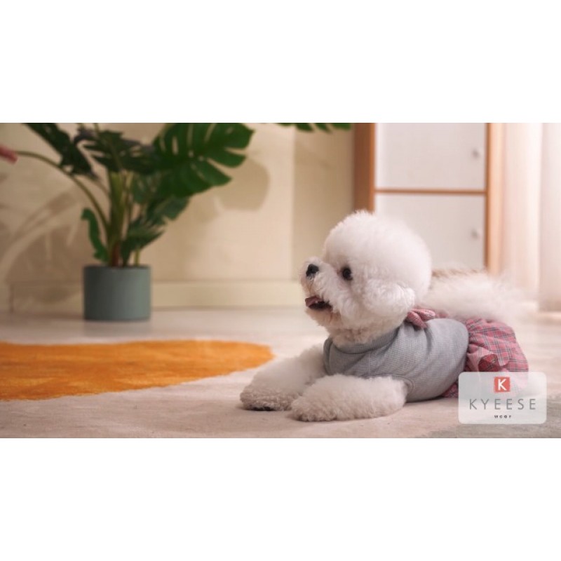 KYEESE 2팩 강아지 셔츠 소형견용 와플 부드러운 신축성 있는 강아지 티셔츠 경량 강아지 탱크탑 민소매 강아지 조끼 통기성 고양이 셔츠, 미디엄, 그린+그레이
