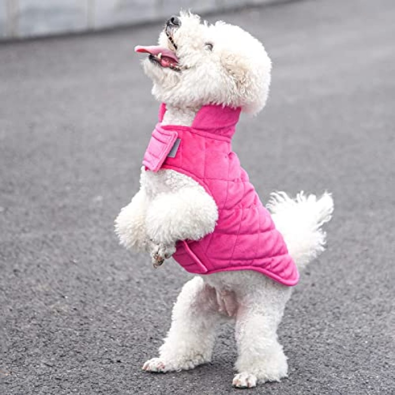 PETPUBGNZS 겨울 개 코트 부드럽고 따뜻한 양털 강아지 자켓 애완 동물 가을 스웨터 편안한 방풍 강아지 조끼 소형 중형 대형견을위한 큰 개 옷 고양이 소녀 소년 (로즈 레드, 2X-대형)
