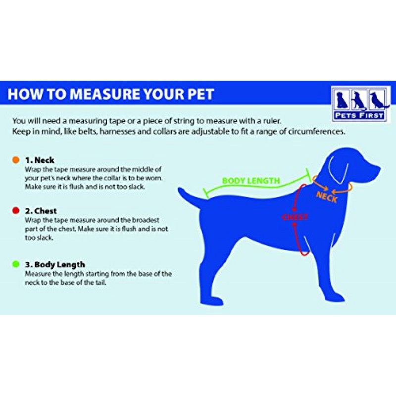 Pets First 뉴잉글랜드 패트리어츠 티셔츠, 미디엄