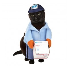 개 메일 캐리어 의상 USPS 라지 블루