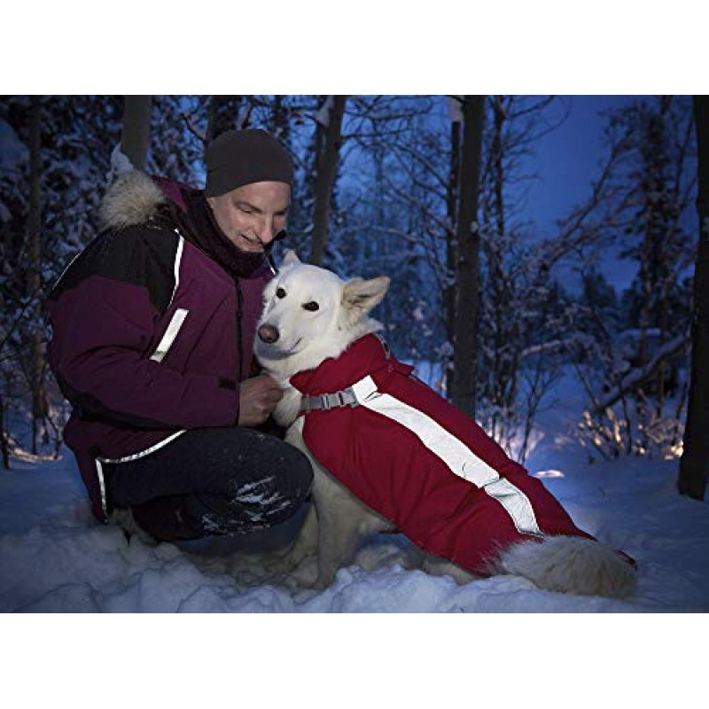 RC 애완동물 제품 Vortex Parka Dog Coat, Cold Weather Jacket