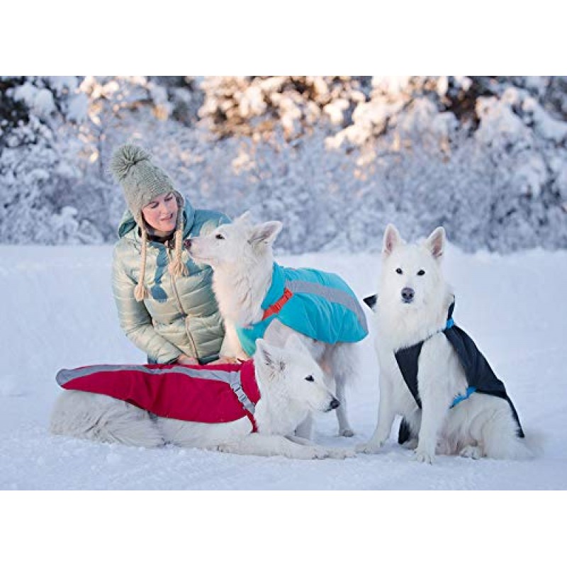 RC 애완동물 제품 Vortex Parka Dog Coat, Cold Weather Jacket