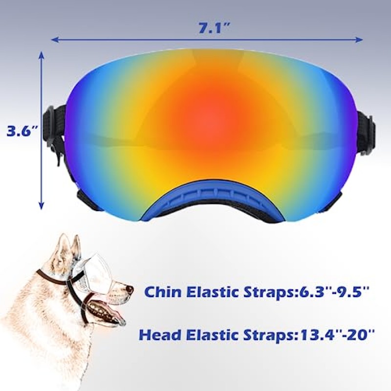 애견 고글, 애견 선글라스 자기 반사 컬러 렌즈, 중대형견용 조절 가능한 스트랩이 있는 고글(블루 프레임)