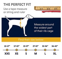 Ruffwear, Quinzee 절연, Stuff Sack이 포함된 반려견용 방수 재킷, 홍안 레드, 소형