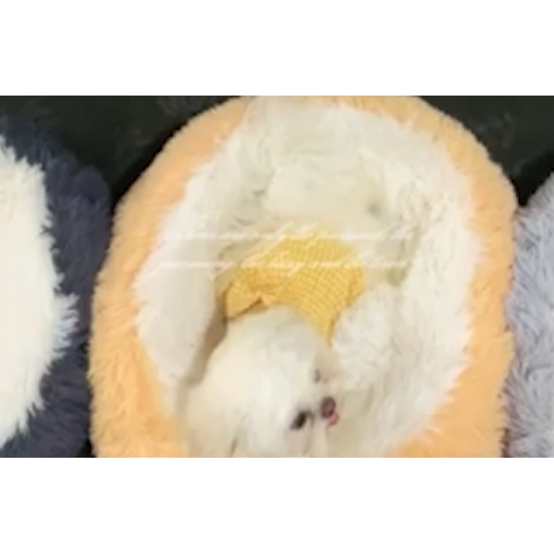 뭔가 다른 진정 개 및 고양이 침대, 불안 방지 도넛 껴안기 따뜻하고 아늑한 부드러운 원형 침대, 소형 중형 개 및 고양이용 푹신한 인조 모피 플러시 쿠션 침대, 24인치, 진한 회색