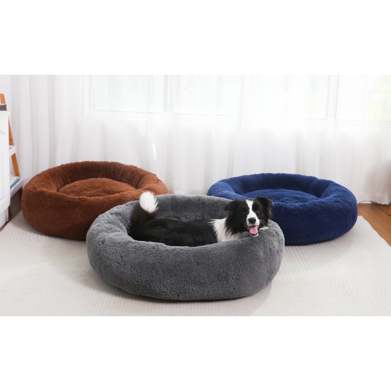 PuppyPalace 23
