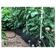 Smart Pots 12206 긴 직물 제기 침대, 6피트, 검정색