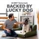 Lucky Dog Drift 시리즈 3-in-1 롤아웃 개 침대 | 부착된 담요 | 네스팅 베드, 덮힌/담요 네스팅 베드, 레이아웃 침대 | 가구 보호 | 특대형 52" | 그레이