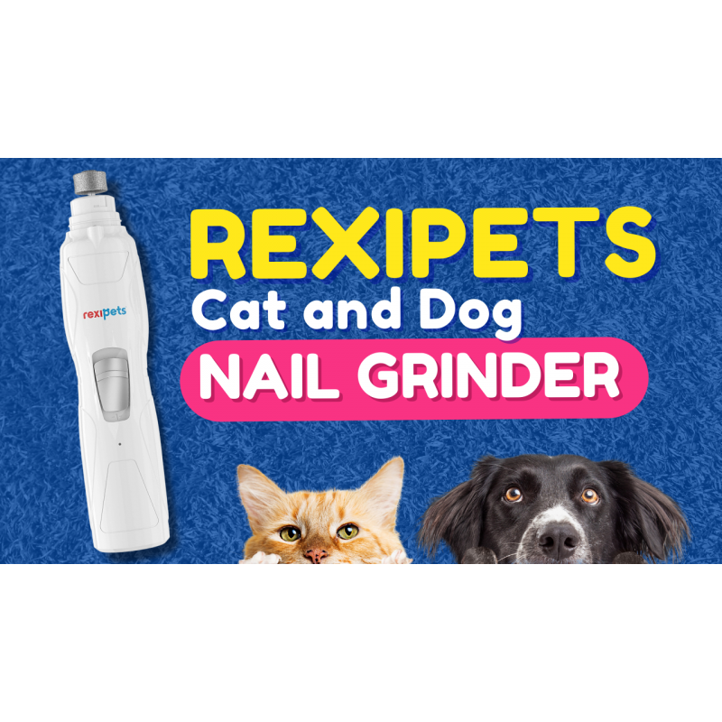 REXIPETS 고양이 및 개 손톱 분쇄기 - 충전식 전기 애완동물 손톱깎이 및 트리머 - 무통 발 손질 - 조용한 2단 모터. 소형, 중형, 대형 애완동물을 위한 3가지 크기의 포트 - 최대 4시간 충전