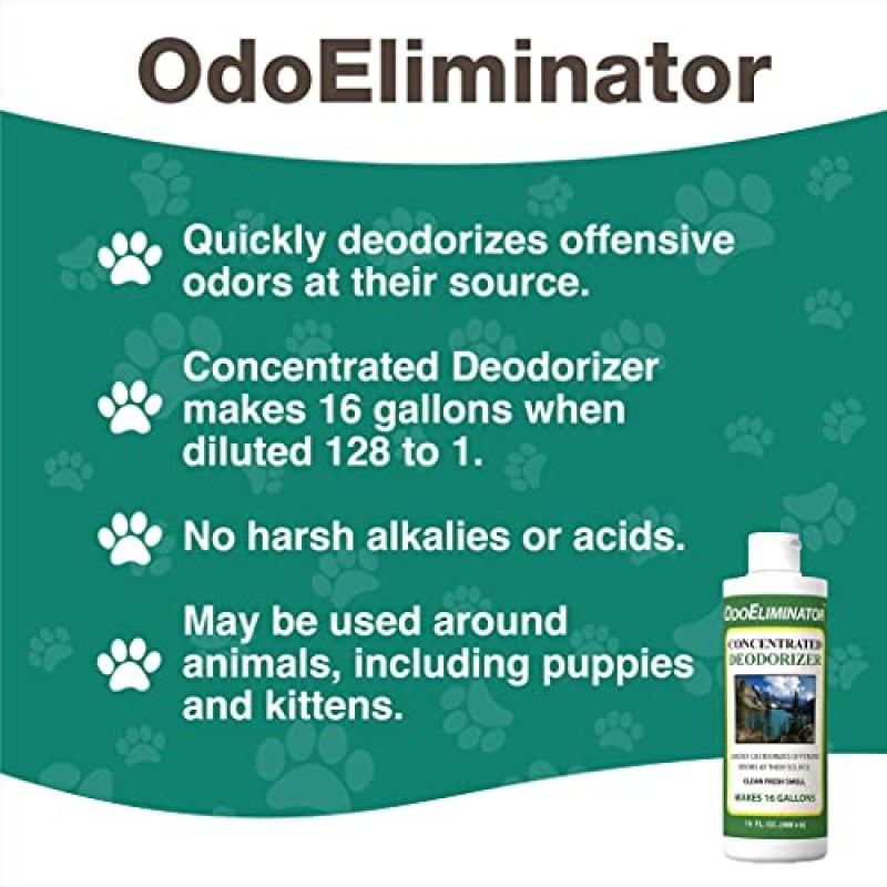 NaturVet OdoEliminator 농축 애완동물 탈취제 – 고농축 탈취 애완동물 세정제 – 개, 고양이의 냄새 제거에 도움 – 깨끗하고 신선한 향기 –16 Oz.