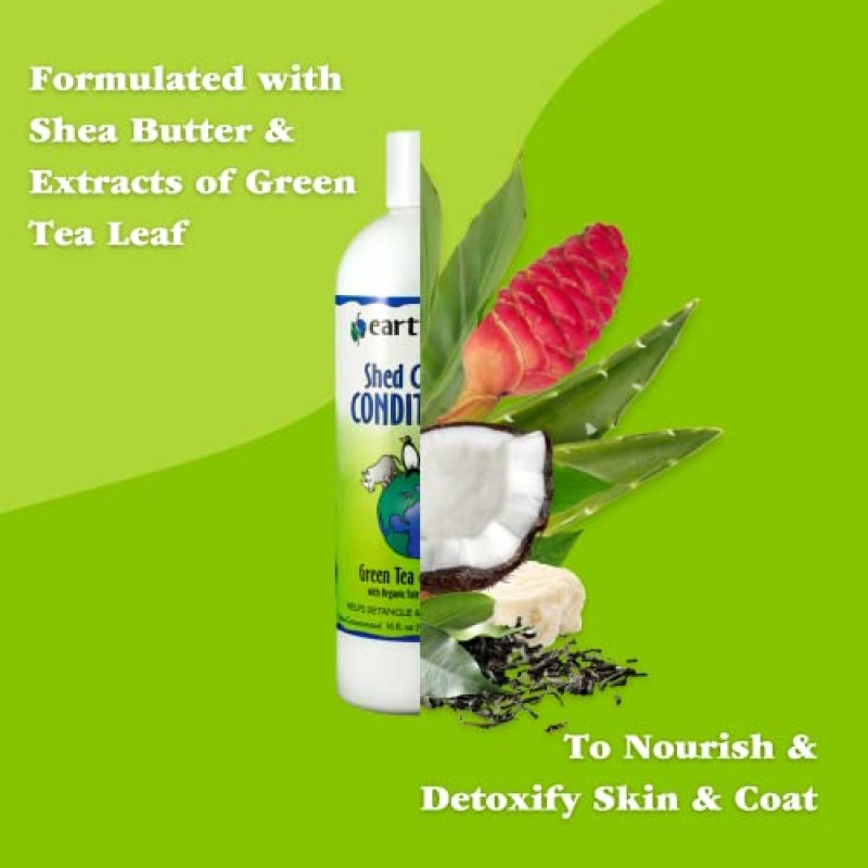 Earthbath Green Tea & Awapuhi Pet Shed Control 샴푸 & 컨디셔너 - 털빠짐 및 비듬 완화에 도움, 알로에 베라, 시어 버터, 개와 고양이에게 좋음, 피부/코트에 영양을 공급하고 해독함 - 16 fl oz, 2팩