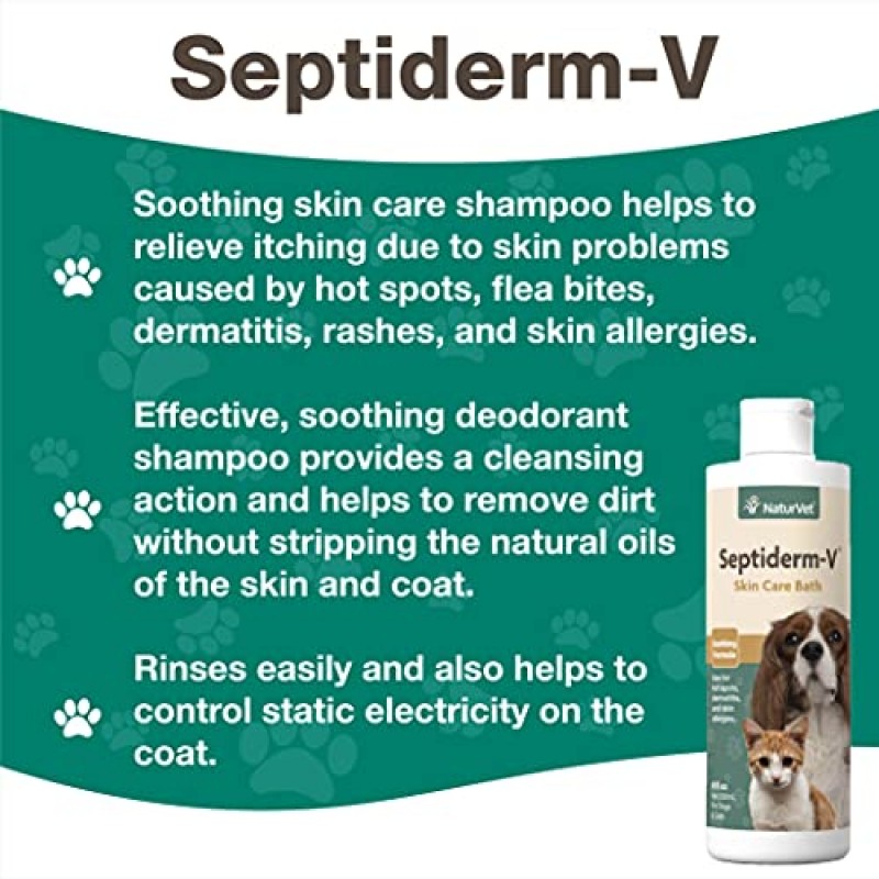 NaturVet Septiderm-V 개와 고양이용 스킨 케어 목욕 워시 – 피부염, 개 피부 알레르기, 가려움증, 핫스팟을 위한 애완동물 건강 보조제 – 애완동물 샴푸, 미용 보조제 – 8온스.