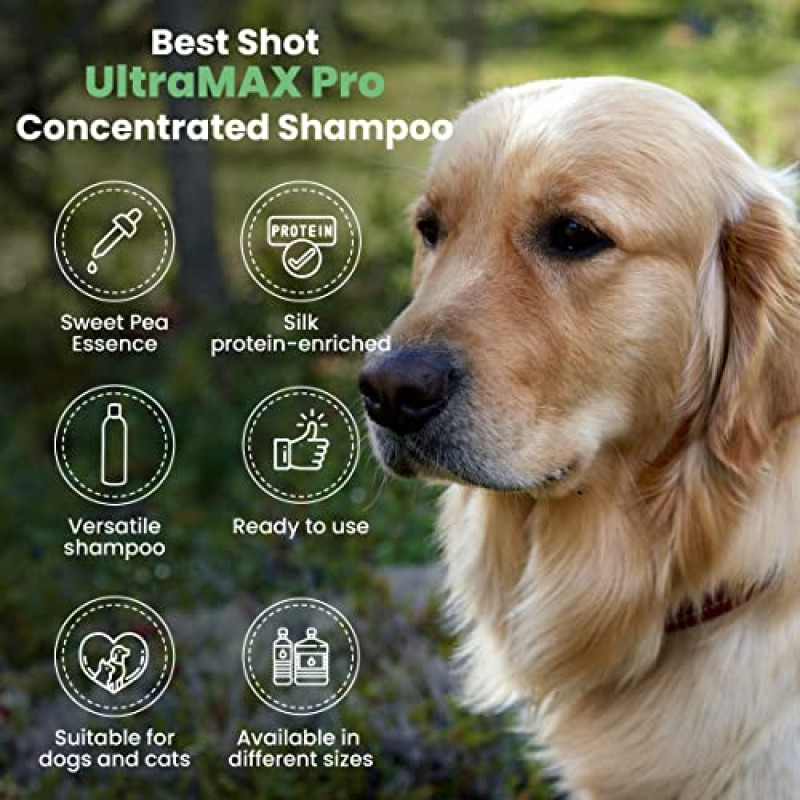 Best Shot UltraMAX Pro 4-in-1 샴푸, 17온스