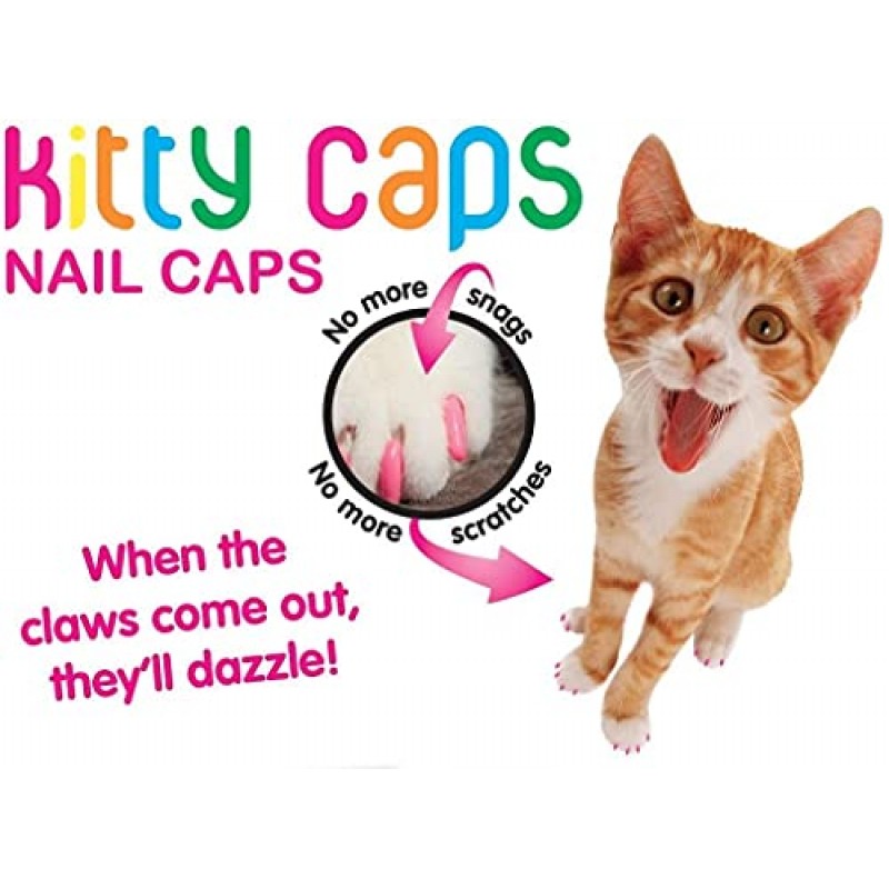 Kitty Caps 을 위한 네일 캡 | 그레이 팁이 있는 블랙 & 베이비 블루, 소형, 40개 - 3팩 | 발톱 제거에 대한 안전하고 세련되며 인도적인 대안 | 걸림과 긁힘을 방지합니다.