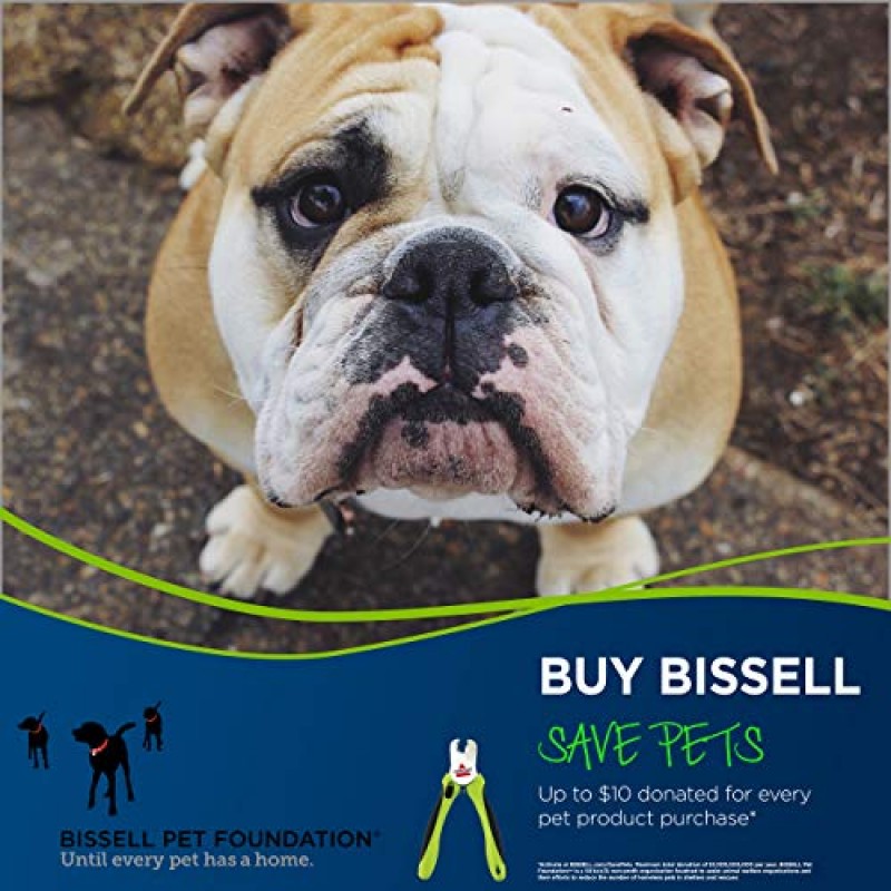 BISSELL 고양이 및 개 손톱깎이/트리머(안전 가드 및 파일 포함) 크고 작은 동물 미용용, 2055A