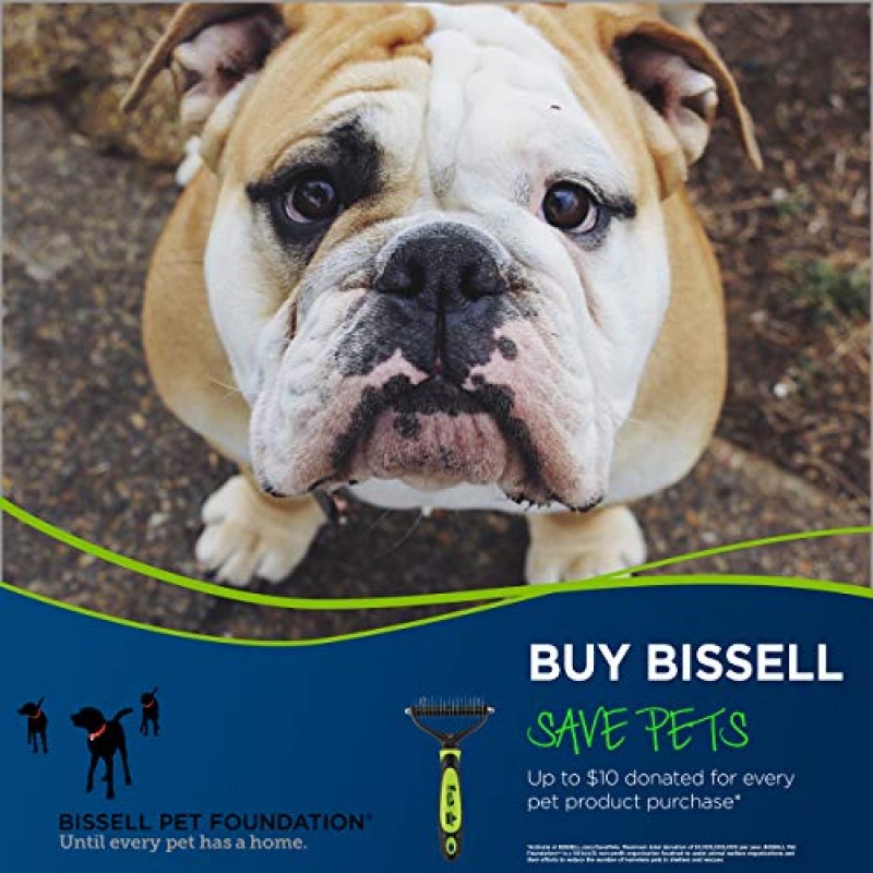 BISSELL FURGET IT 털갈이 및 디매팅 기능이 있는 고양이 및 개 그루밍 브러쉬, 2064A 그린