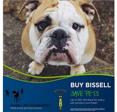 BISSELL FURGET IT 털갈이 및 디매팅 기능이 있는 고양이 및 개 그루밍 브러쉬, 2064A 그린