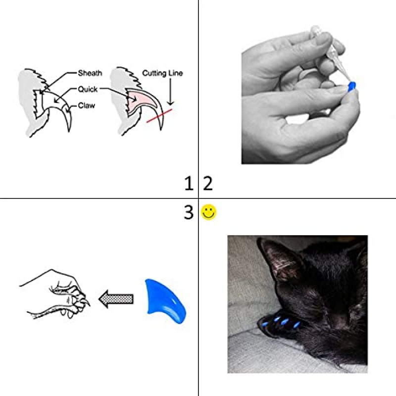 Purrdy Paws 40 팩 고양이 발톱용 소프트 네일 캡 보라색 홀로그램 글리터 새끼 고양이