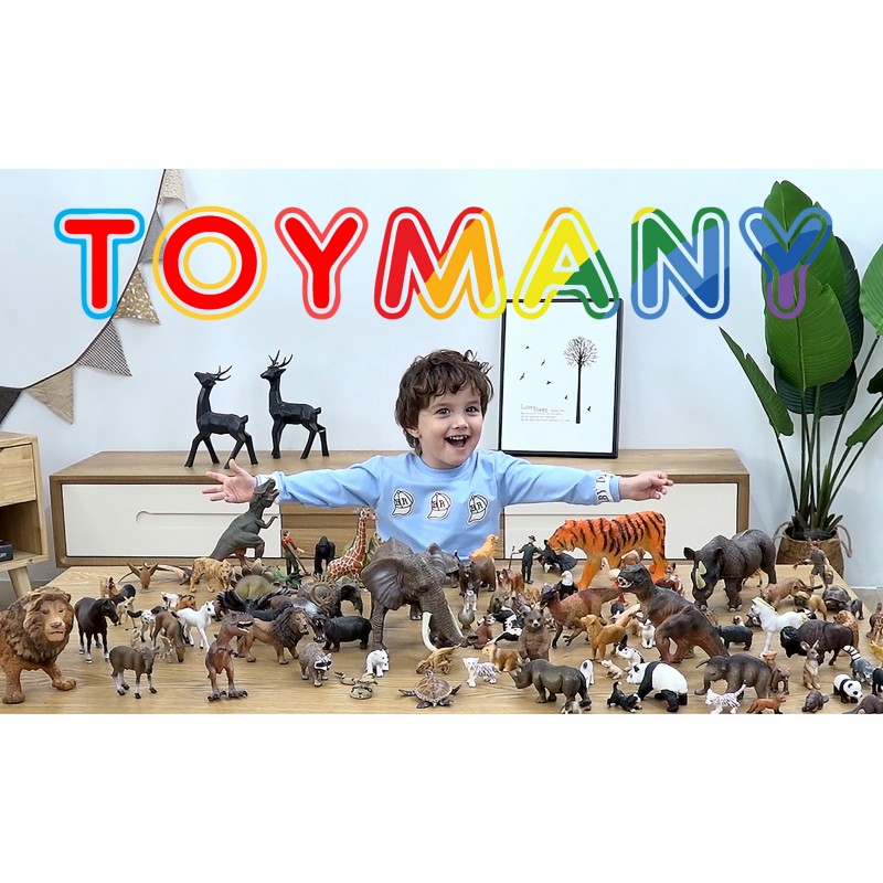 Toymany 6PCS 곰 동물 피규어, 현실적인 숲 동물 곰 가족 피규어 장난감 세트에는 갈색 곰과 흑곰이 포함되어 있습니다. 교육 생일 선물 어린이를위한 크리스마스 장난감 어린이 유아