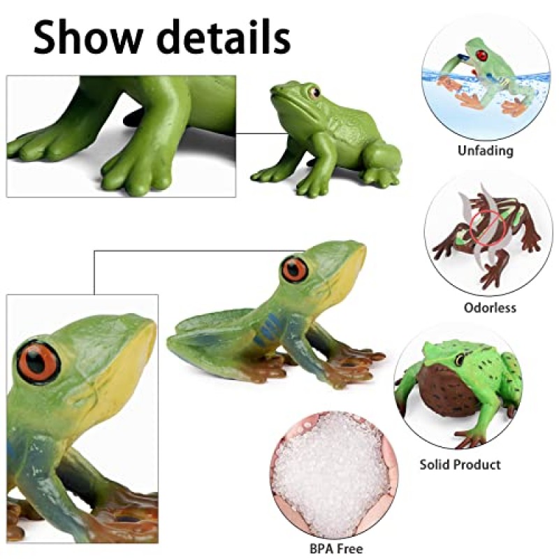 10PCS 개구리 장난감 피규어, 플라스틱 고무 숲 동물 인형 어린이를위한 현실적인 우드랜드 열대 우림 동물 피규어, 개구리 케이크 토퍼 정원 화분 식물 장식
