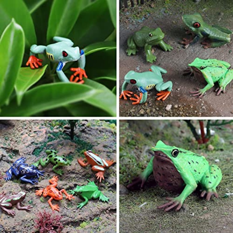 10PCS 개구리 장난감 피규어, 플라스틱 고무 숲 동물 인형 어린이를위한 현실적인 우드랜드 열대 우림 동물 피규어, 개구리 케이크 토퍼 정원 화분 식물 장식