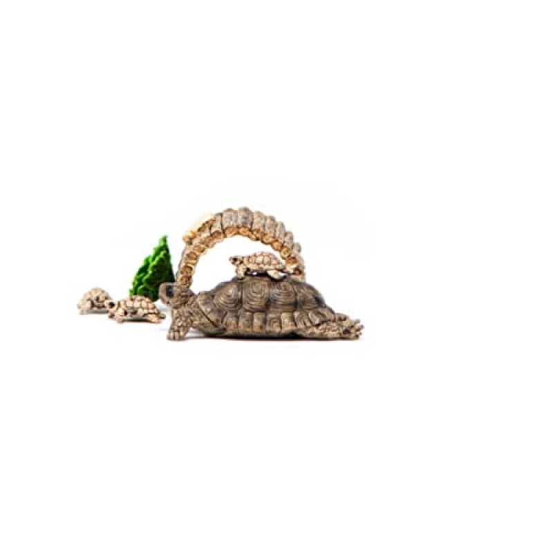 Schleich Wild Life 6피스 거북이 장난감 그림(부화한 새끼와 거북이 포함) 어린이용 3-8세용 홈 플레이 세트, 브라운