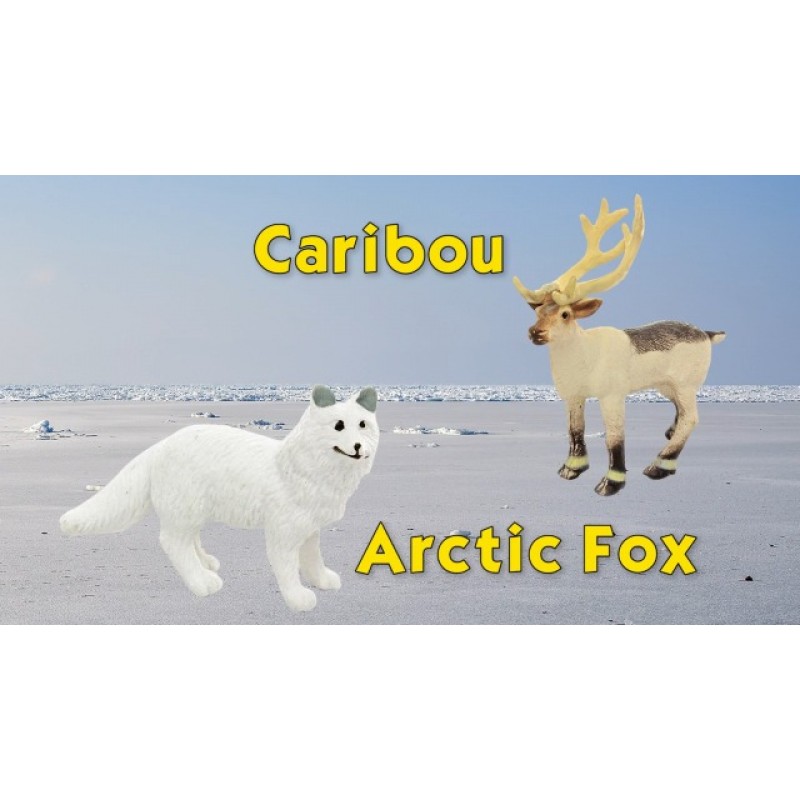 Safari Ltd Arctic TOOB에는 하프물개, 허스키, 순록, 북극 토끼, 범고래, 바다코끼리, 북극 여우, 벨루가 고래, 이글루, 북극곰 등 재미있는 인형 10개가 포함되어 있습니다 – 3세 이상용