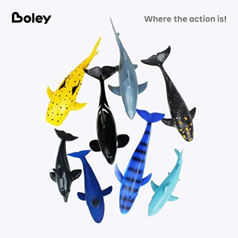 Boley Great Sea Creatures 8팩: 7-10