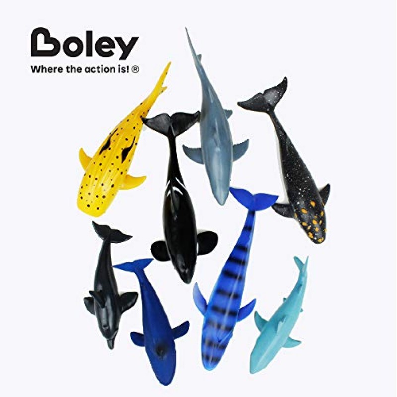 Boley Great Sea Creatures 8팩: 7-10