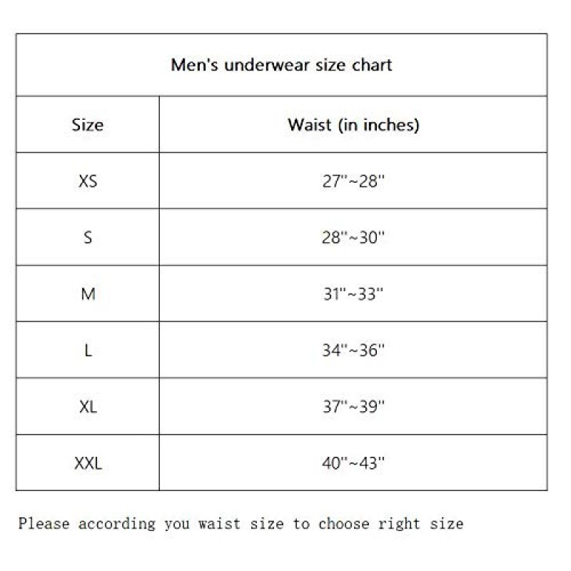 Laxier 2 팩 남성용 복서 팬티 투명 반바지 남성용 소프트 언더 팬츠 남성용 시스루 트렁크 남성용 섹시한 속옷