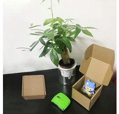 4x4x3인치 배송 상자 25개 팩, Livejun 갈색 골판지 상자 메일러 상자 포장용 중소기업 배송, 생일 웨딩 파티 선물 제공용 상자(4 x 4 x 3)
