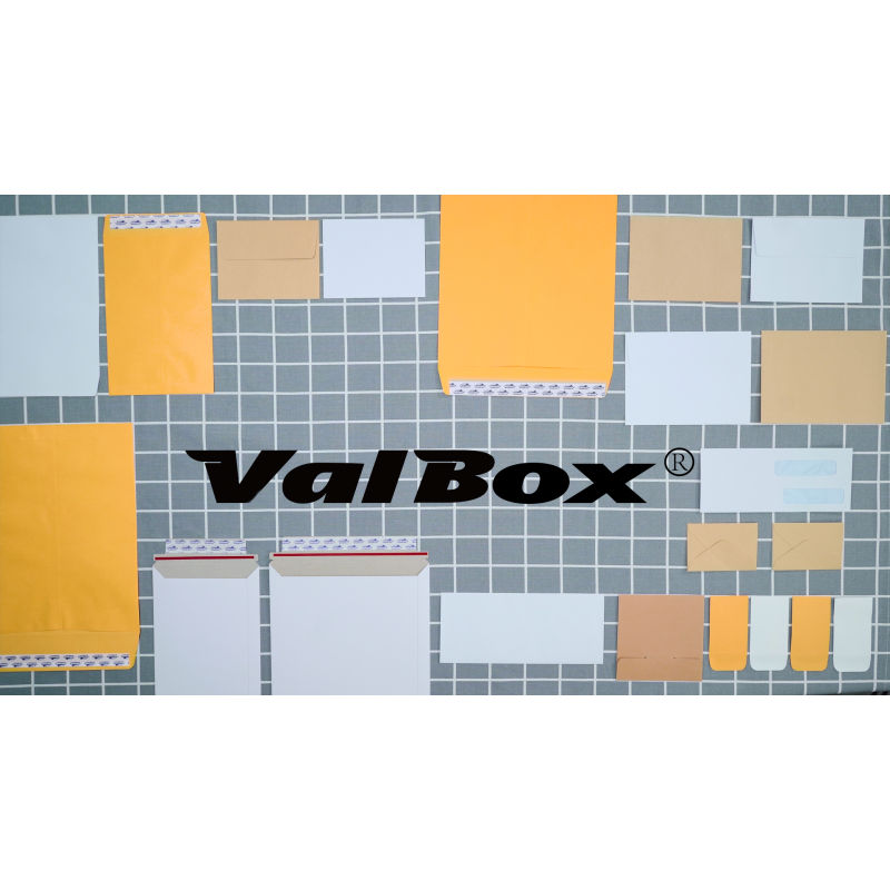 ValBox 9x12 자체 밀봉 카탈로그 봉투 250팩 우편 발송, 정리 및 보관을 위한 껍질과 밀봉 플랩이 있는 흰색 봉투