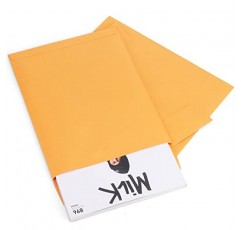 Eupako 카탈로그 우편 봉투 9x12 갈색 봉투 정리 및 보관용 자체 밀봉 250팩