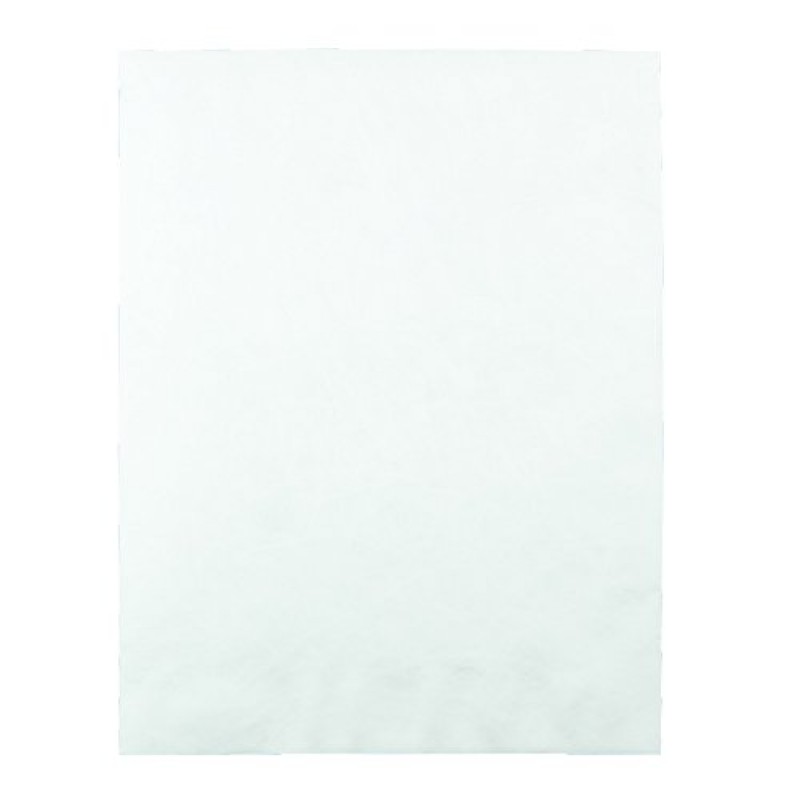 Quality Park Survivor R1580 Tyvek 우편물, 10 x 13, 흰색(100개 상자)