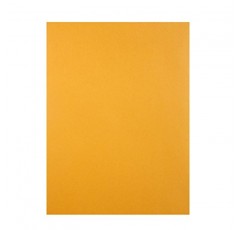 Quality Park Redi-Seal 9 x 12인치 크래프트 카탈로그 봉투 250장(43562), 밝은 갈색