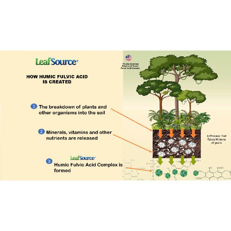 LeafSource 휴믹 풀빅산 120 vcap 77 미량 미네랄 전해질 콜라겐 비타민 우수한 휴믹-풀빅산 비율 더 많은 에너지 더 나은 장 건강 관절 건강 수분 공급 영양소 흡수