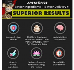 Apetropics Smart Drops - 사자 갈기, 동충하초, 칠면조 꼬리, 차가, 영지 함유 5-in-1 적응성 버섯 팅크 - 누트로픽 뇌 보조제 - 복숭아 수박 맛, 30회분